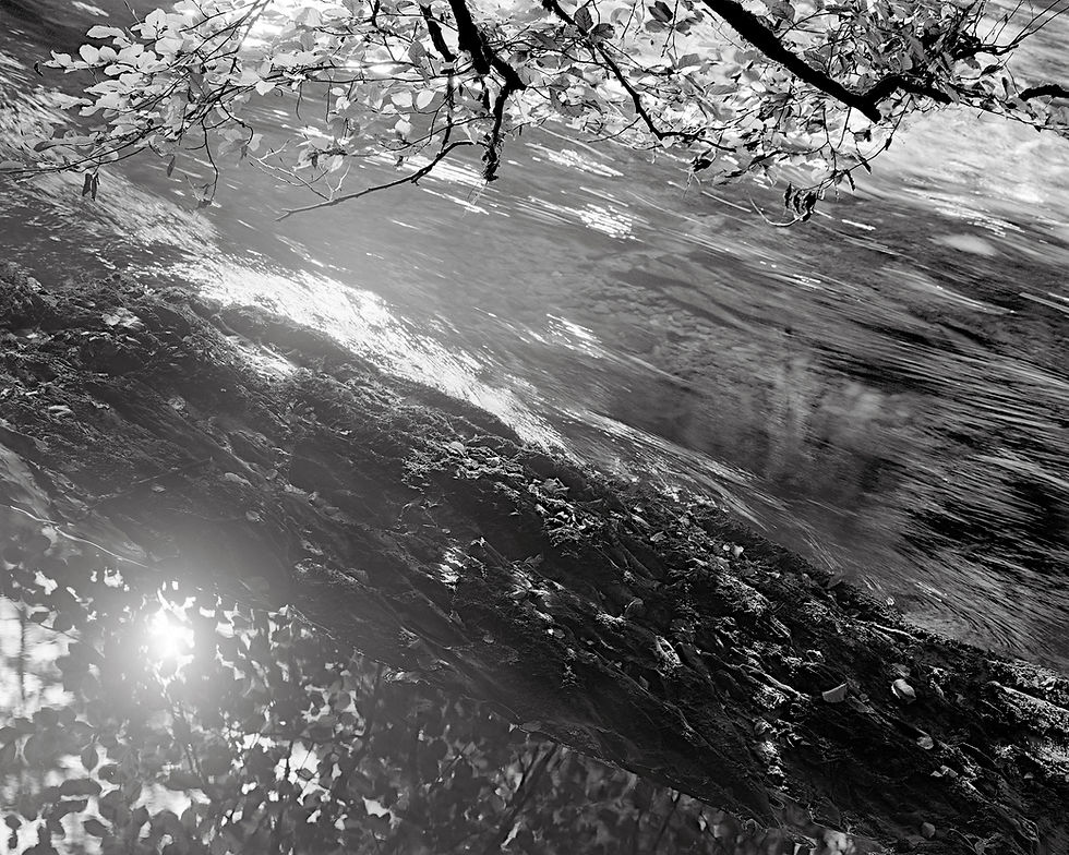 Blog post about large format photography and a 10x8 camera.