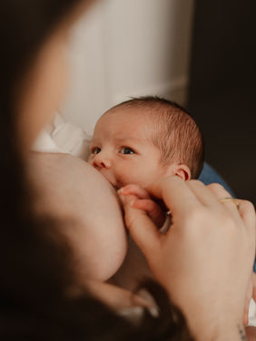 Bébé qui se nourrit