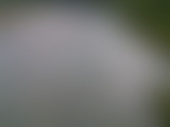 8月17日 九頭竜川の様子