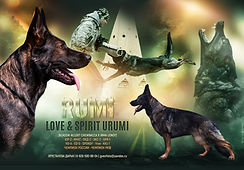 Love & Spirit Urumi