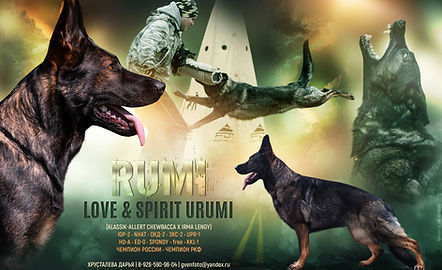 Love & Spirit Urumi