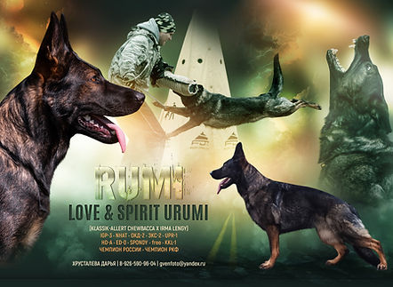 Love & Spirit Urumi