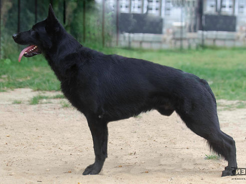 Love & Spirit Kayman