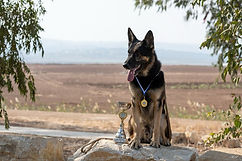 Love & Spirit Megido