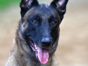 Love & Spirit QR-Code  сдал IFH-2 - 90 баллов