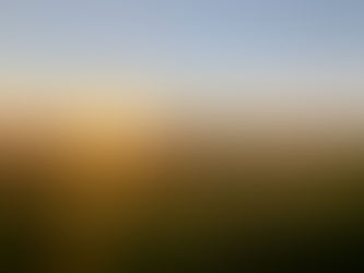 Sunset over grass field