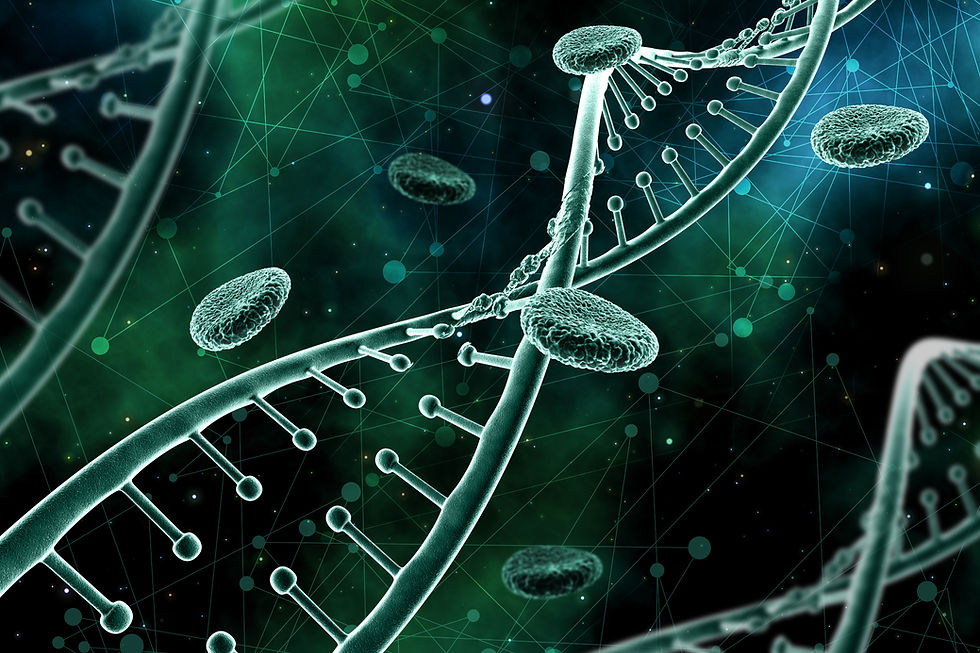 O ambiente biológico influencia os resultados da terapia capilar?