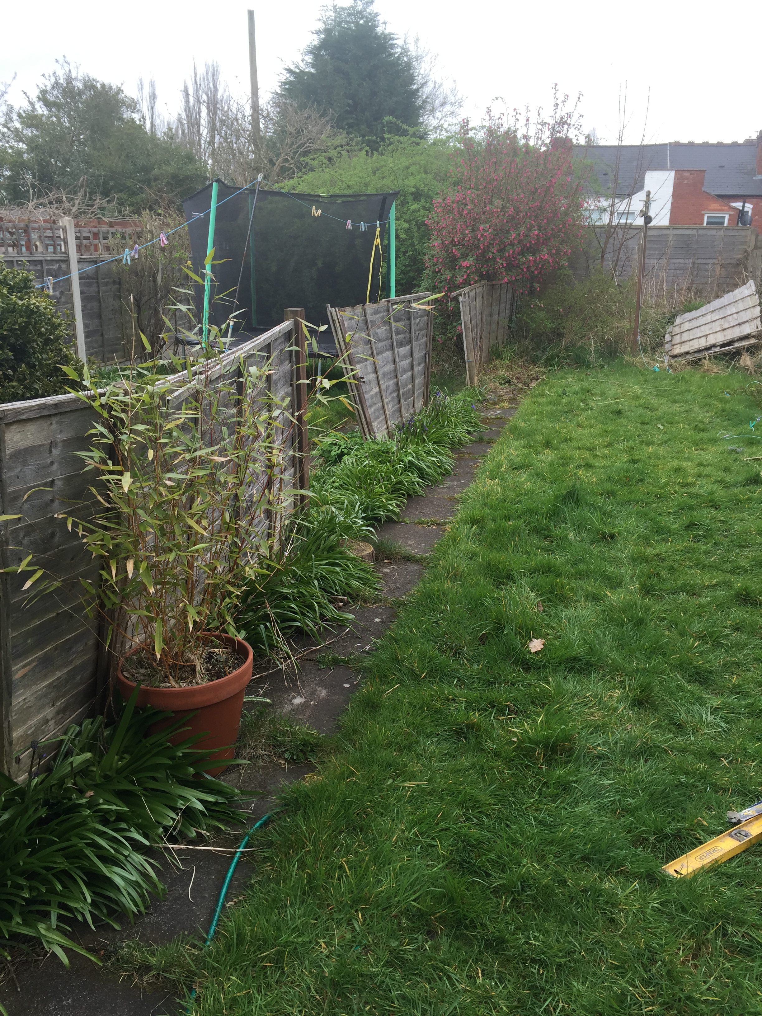 Old fence was falling down