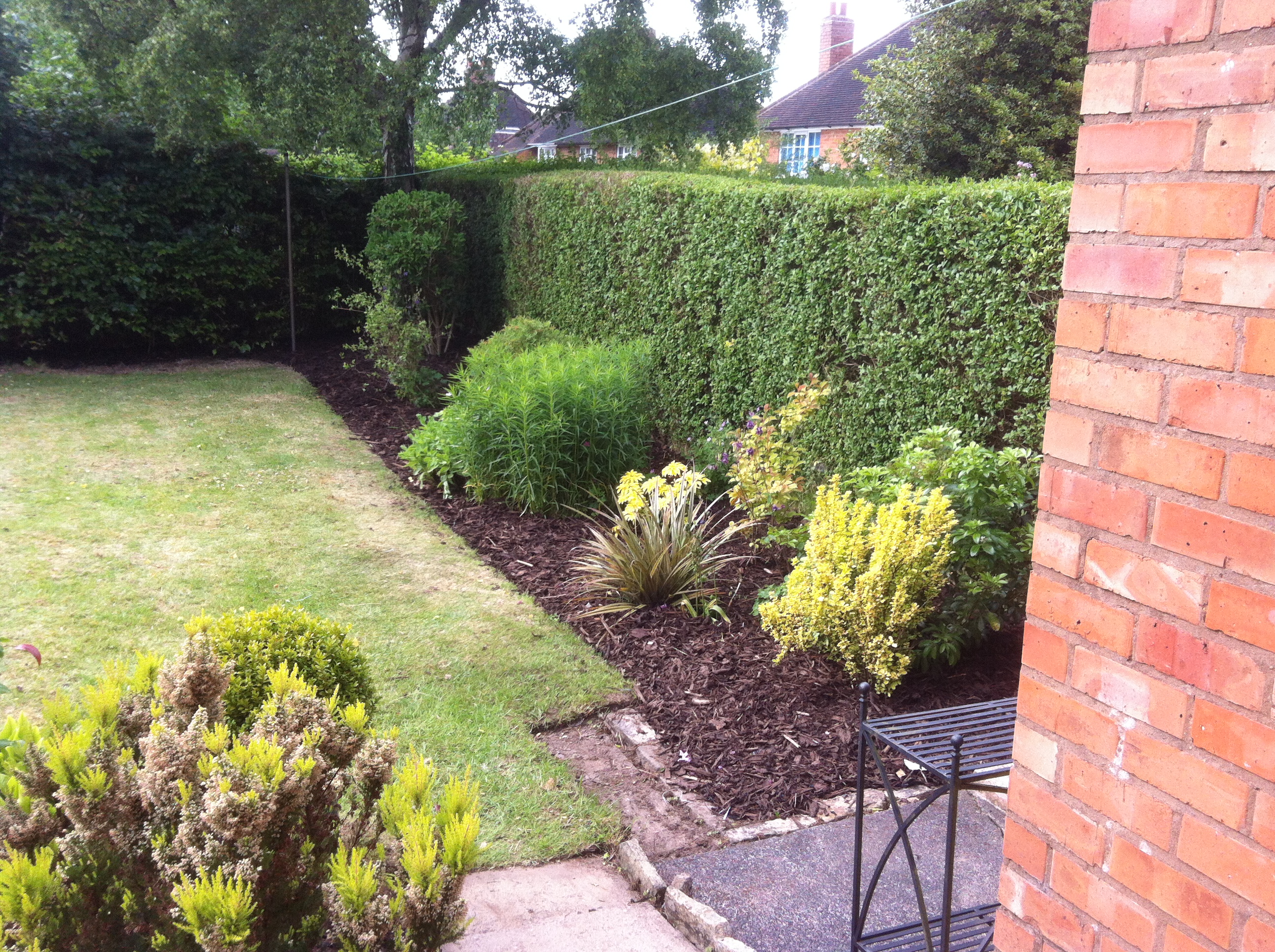 Privet cut back, tree bark laid