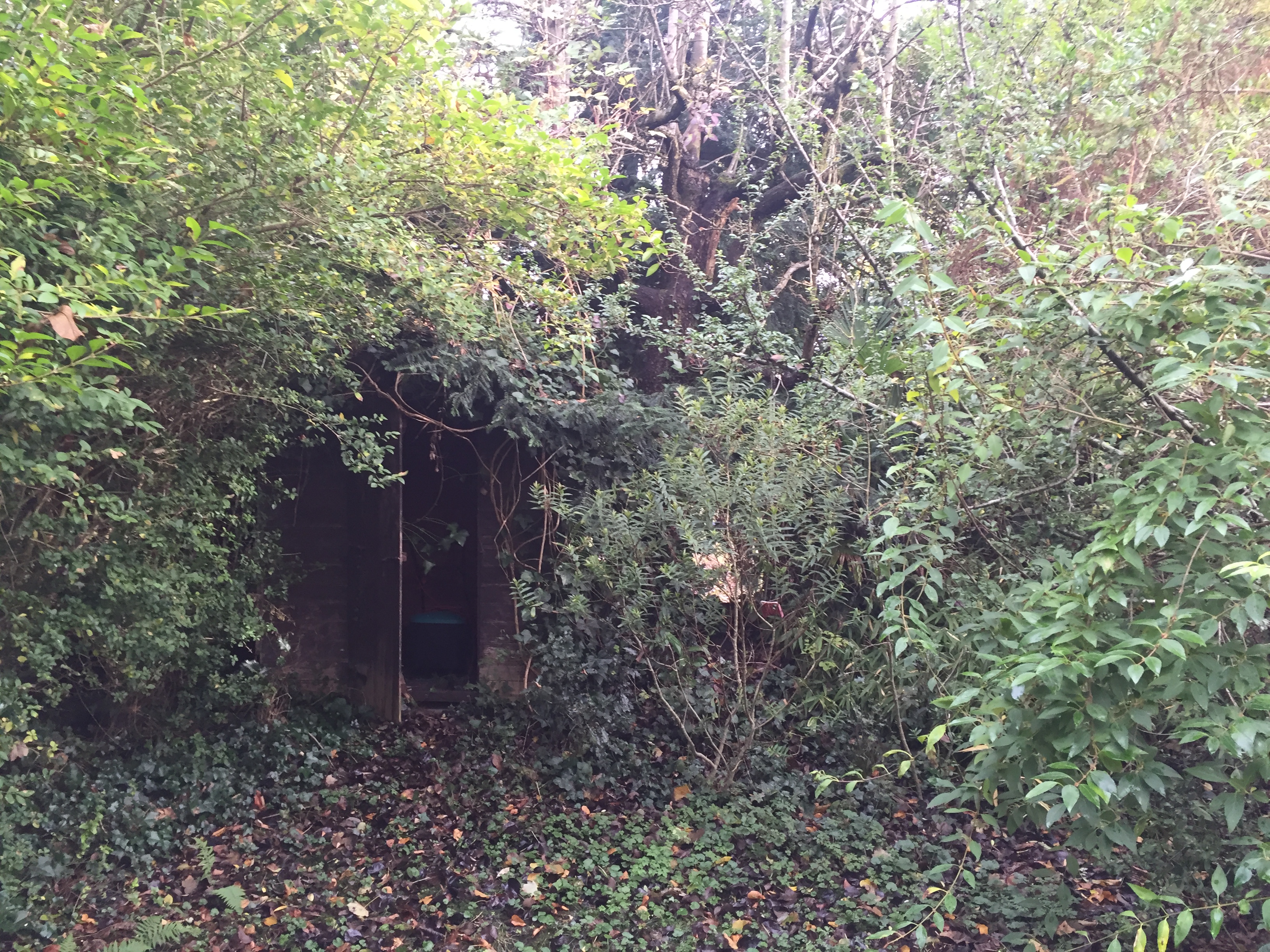 Overgown garden