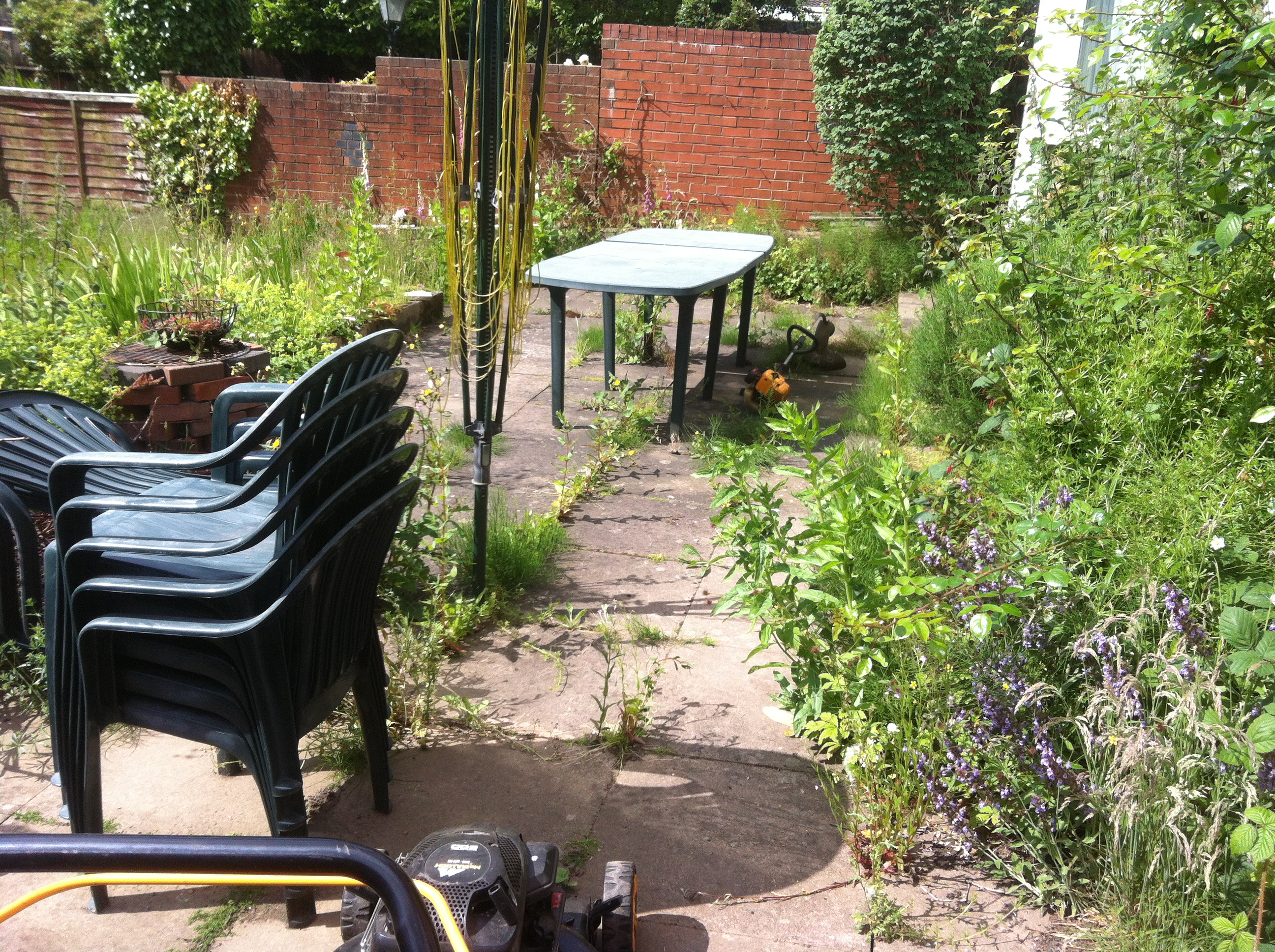 Another neglected garden