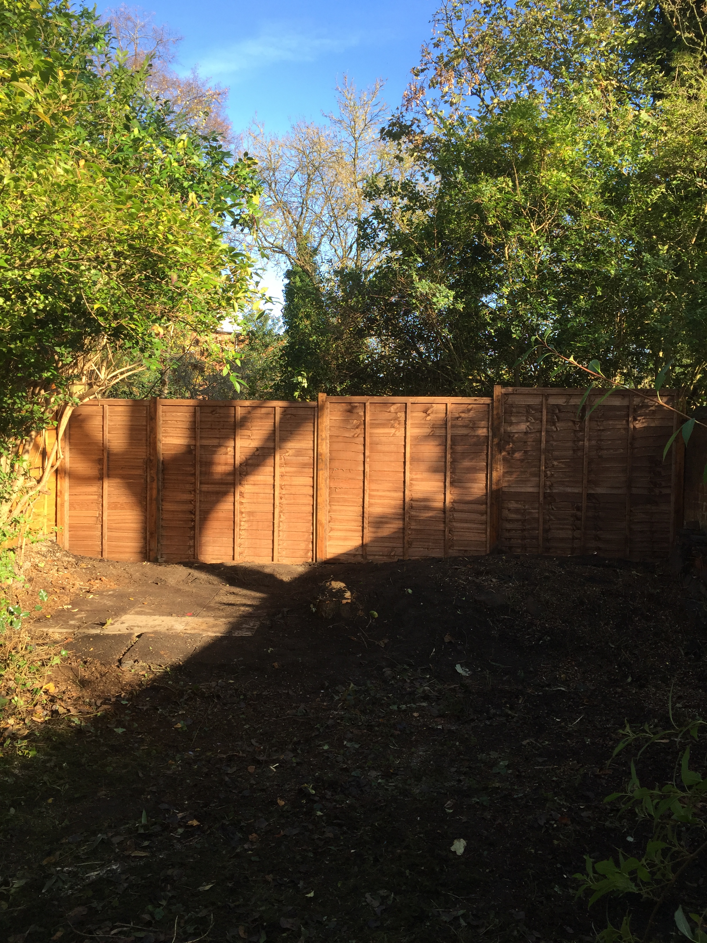Trees and bushes cut down for fence