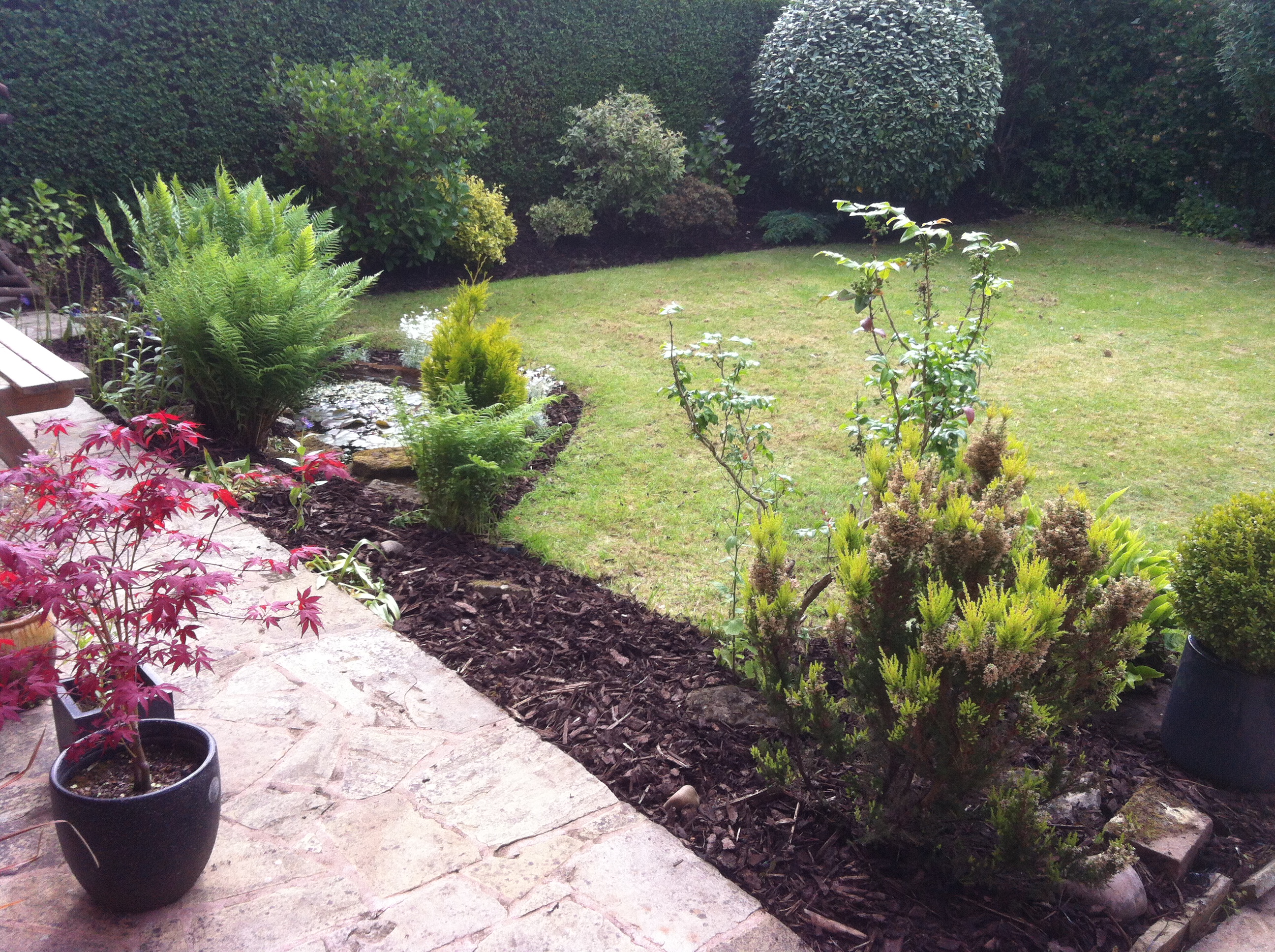 Garden pond cleared of weed growth