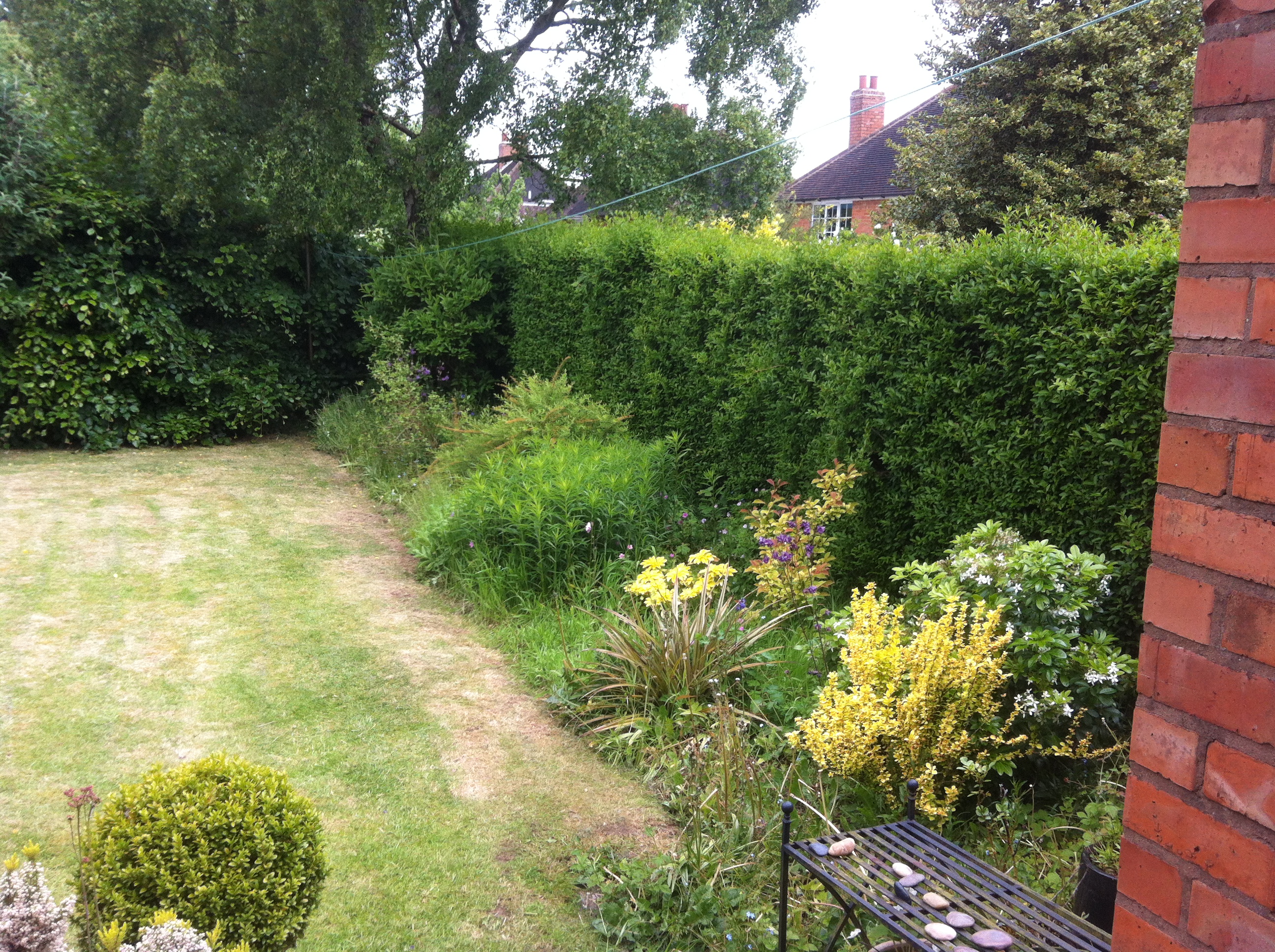 Overgrown garden to be maintained
