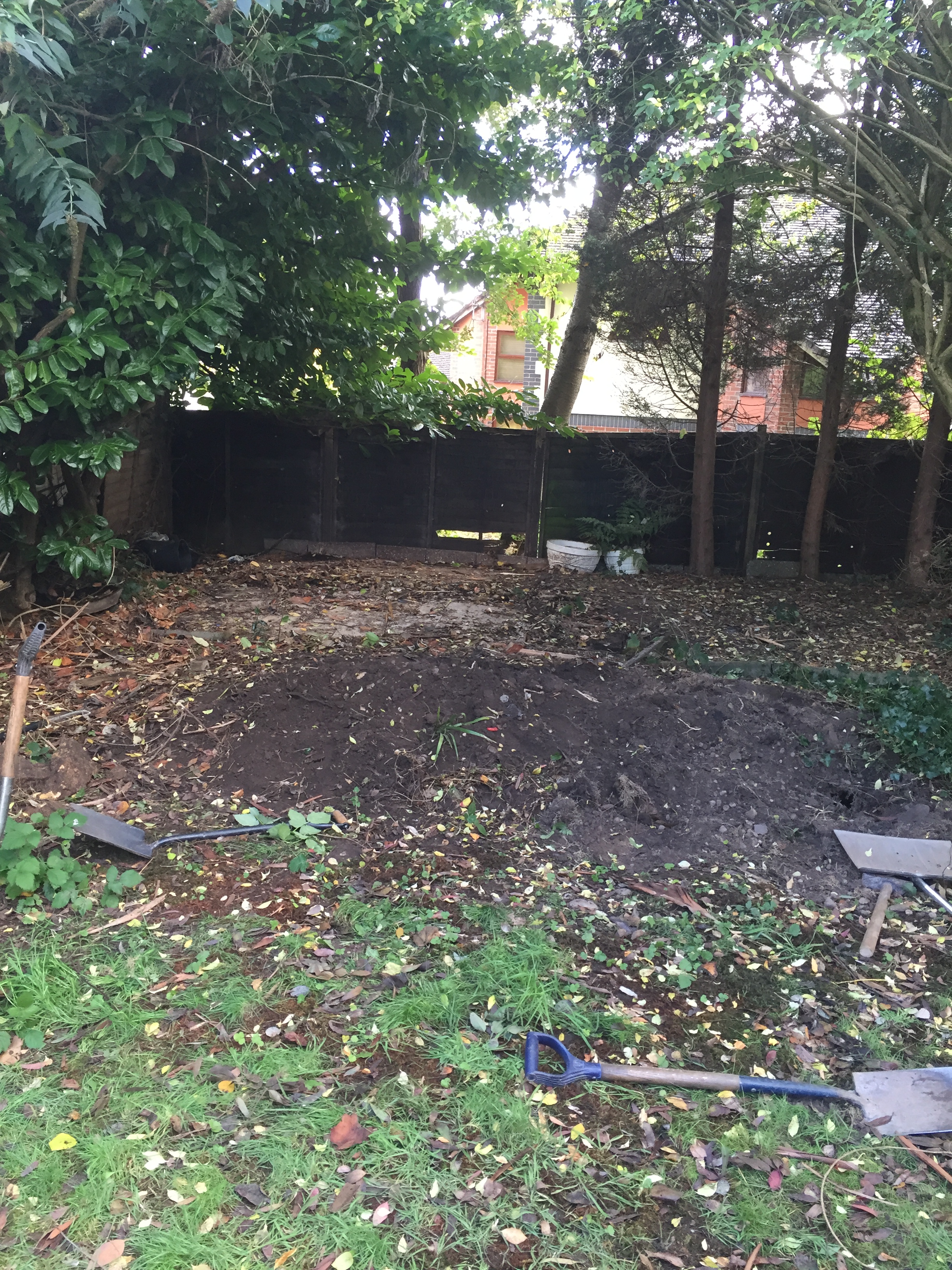 Shed now removed, ground cleared