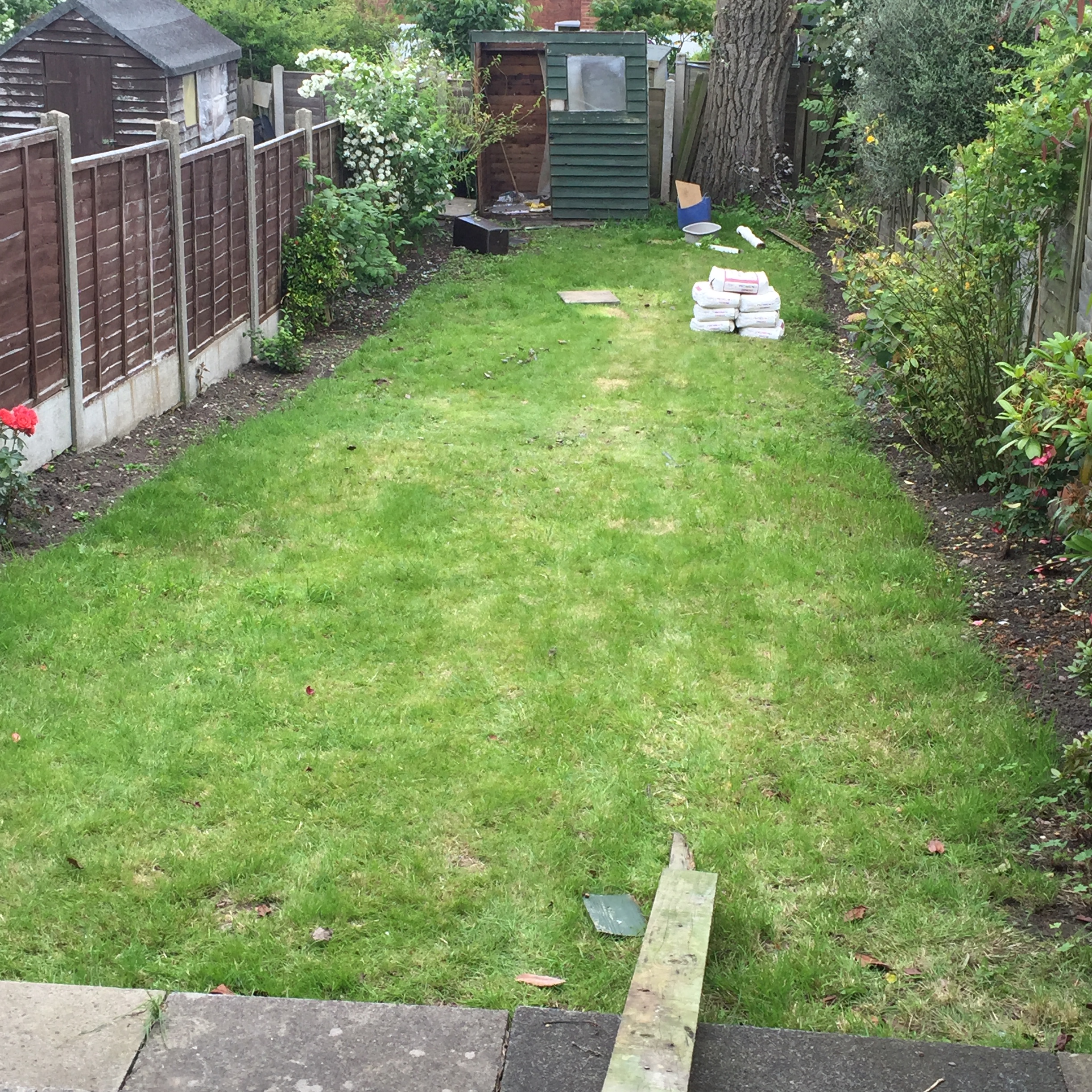 An earlier picture of garden
