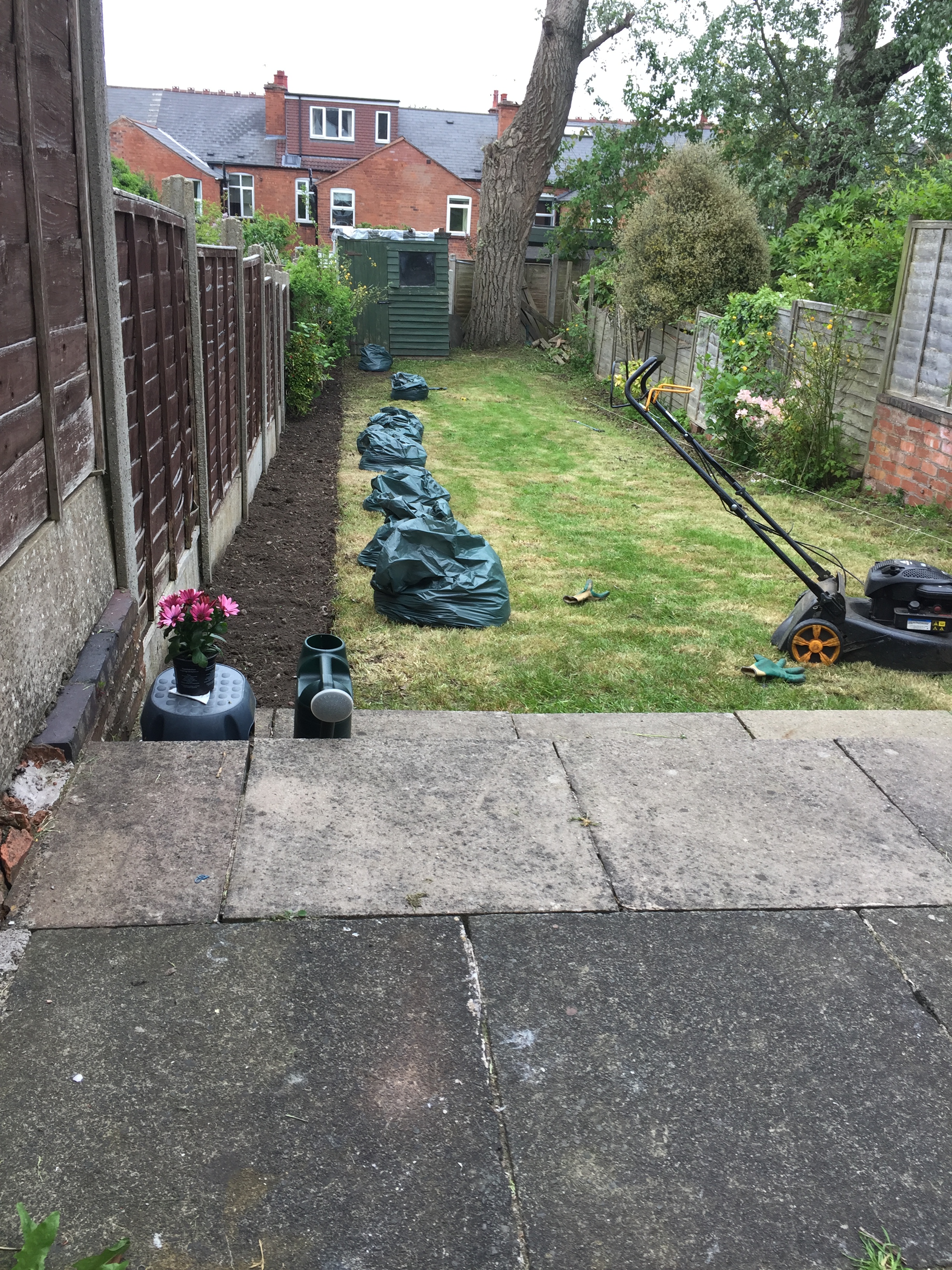 Deweeded both borders of all weeds