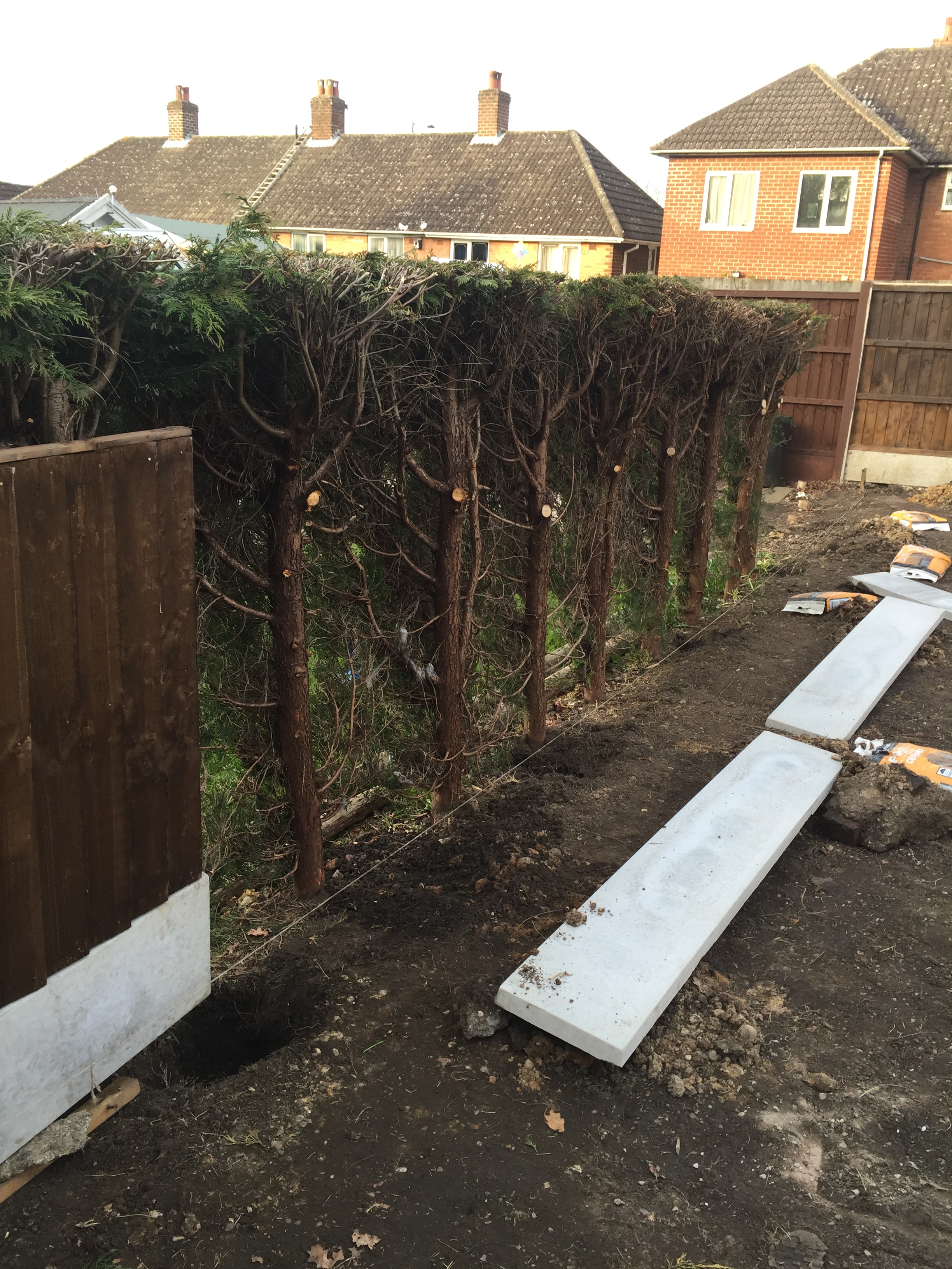 Conifers trimmed back for new fence