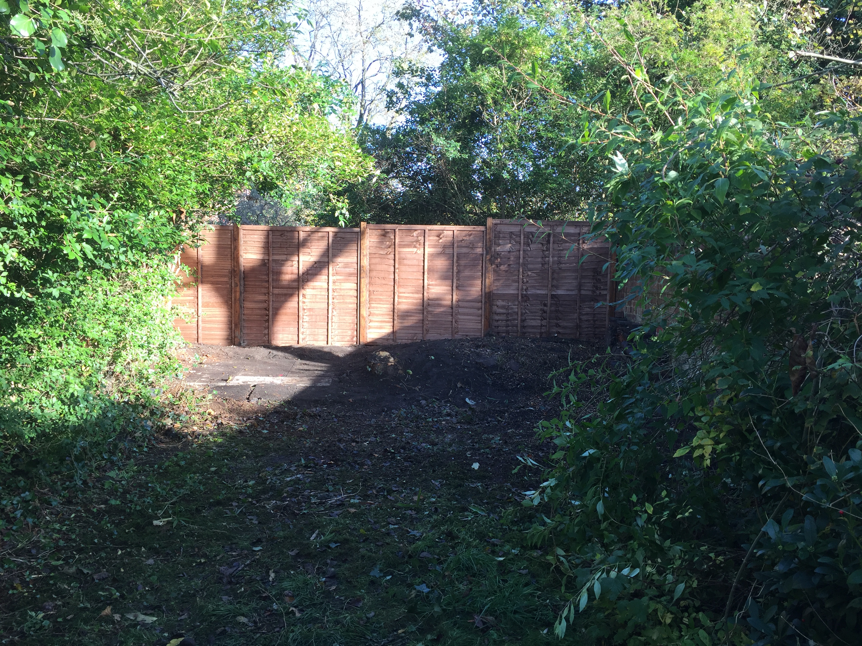 Garden picture 2