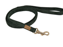G Dog Series leashes