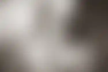20220730-2S9A6697-2_ergebnis.webp