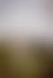 20230809-2S9A5630_ergebnis.webp