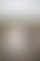 Hochzeit Münsterland 1_6.webp