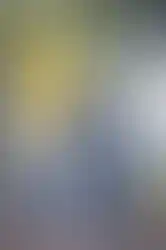 20221102-2S9A9720_ergebnis.webp