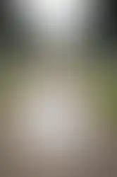 20200815-2S9A5970_ergebnis.webp