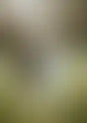 20241023-DS0A8250_ergebnis.webp