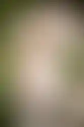 20190608-IMG_0126_ergebnis.webp