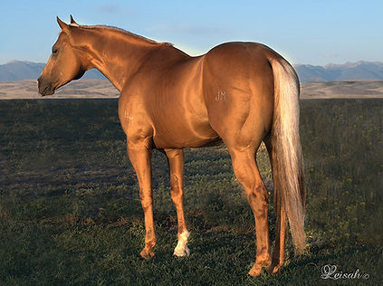 Guyspocketfullofcash