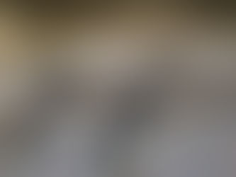 U16: Panther begrüßen Krefelder Skating Bears zum Saisonauftakt