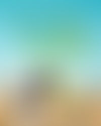 Meng Landwirtschaft appelliert an Luxemburger Europaabgeordnete, die Deregulierung von Pflanzen aus neuer Gentechnik zu stoppen