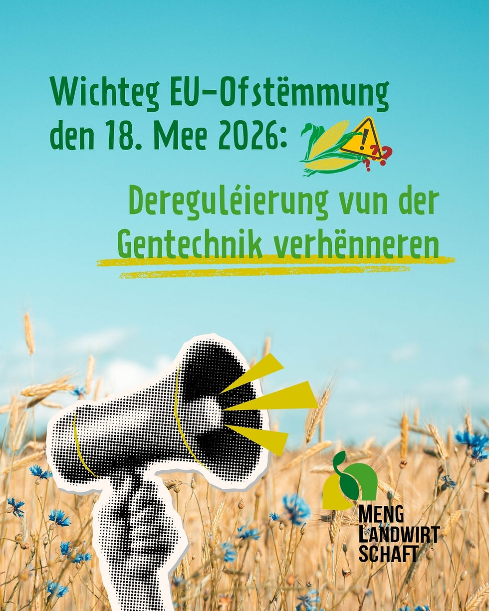 Meng Landwirtschaft appelliert an Luxemburger Europaabgeordnete, die Deregulierung von Pflanzen aus neuer Gentechnik zu stoppen