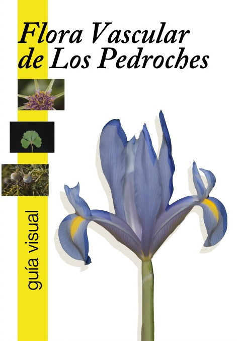 Portada del libro escrito por Emilio Laguna y Claudio Rodríguez que fue publicado y editado por la Fundación Ricardo Delgado Vizcaíno y el Ayuntamiento de Pozoblanco.