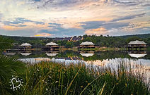 LuxGive_SafariSerenity_04.jpg