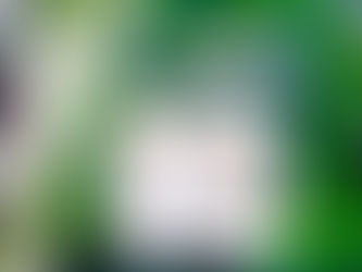 Même si le temps passe, la jeunesse éternelle dans un baiser se prélasse 	