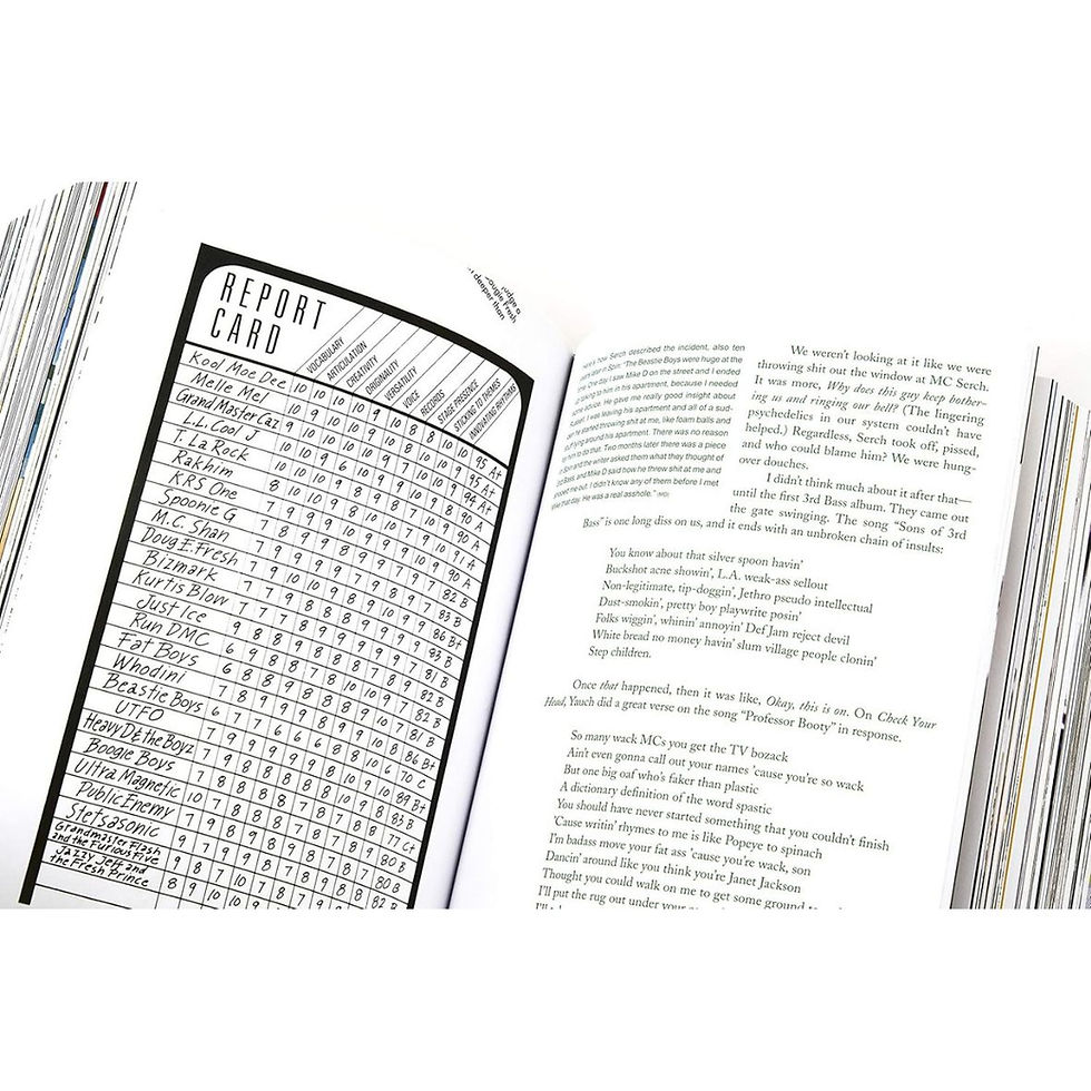 الصورة المصغرة: The Beastie Boys Book