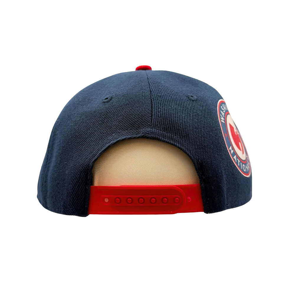 الصورة المصغرة: Wu-Tang Washington Nationals Fat-Laced Snapback Hat