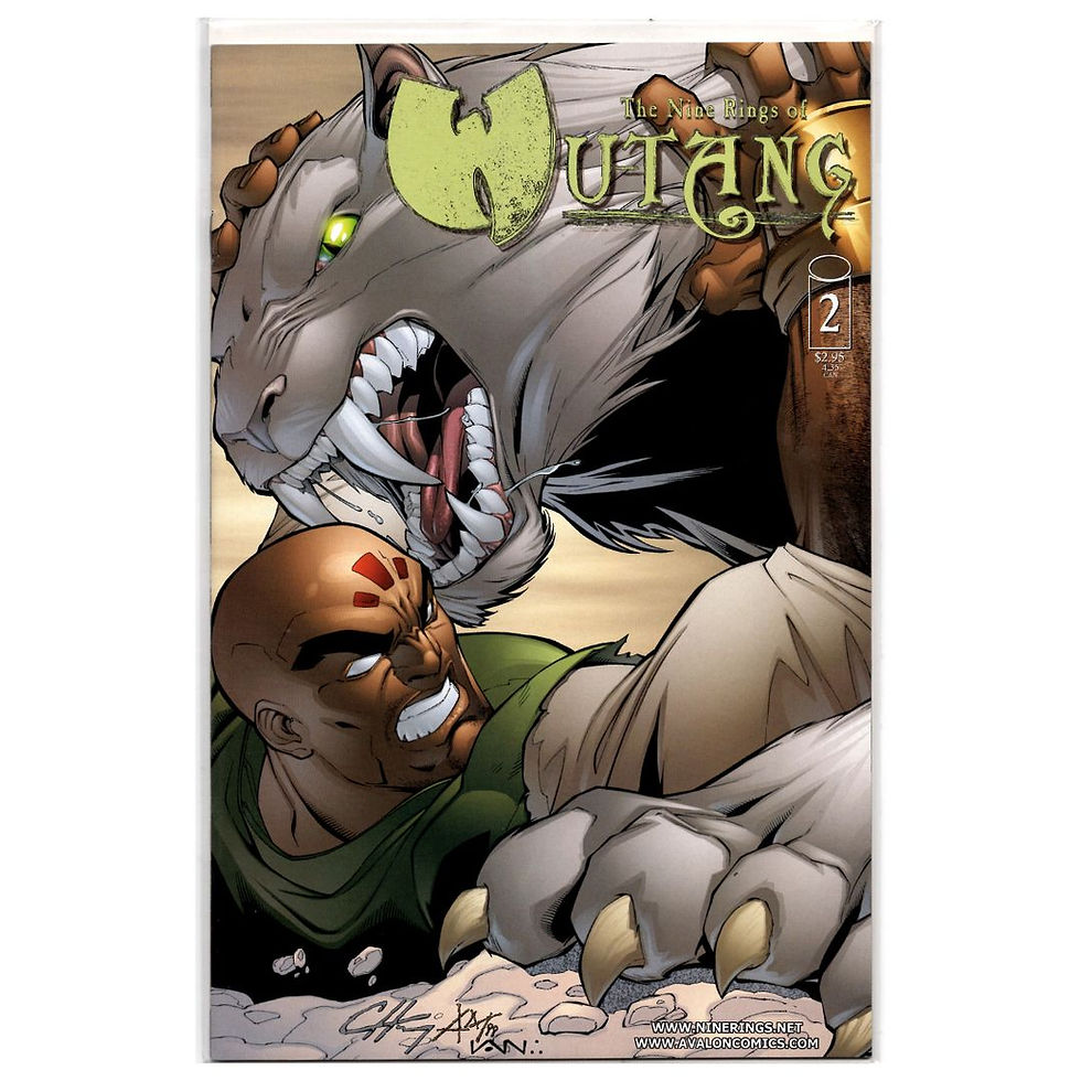 The Nine Rings of Wu Tang Vol 2 Comic Book