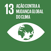 ODS_13_acao contra_a_mudanca_global_do_ clima.png