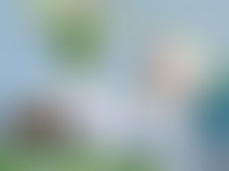 Self Watering Pots, 5 inch 6 inch 8 inch indoor planters, White Modern Decorative Flower Pots