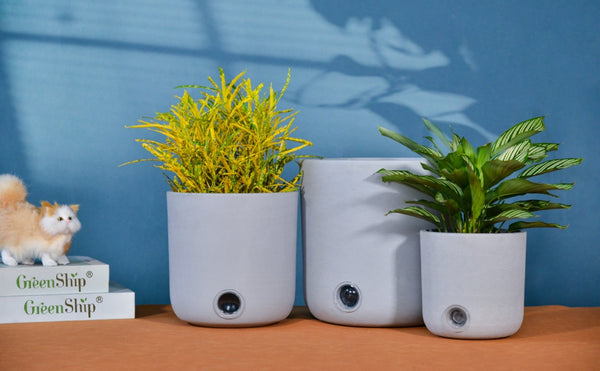 Self-Watering Pots