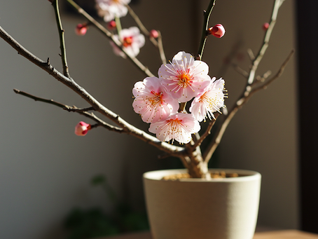 Plum Blossom Indoors: The Complete Guide to Growing and Enjoying Winter Blooms at Home