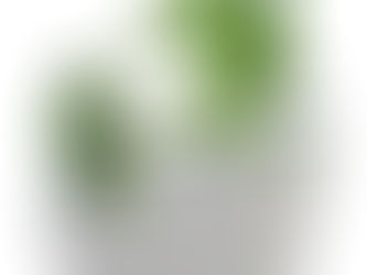 Are Bigger Pots Better for Plants?