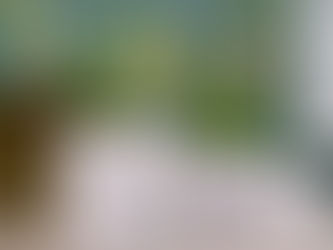 Do You Plant Directly into Self-watering Pots?