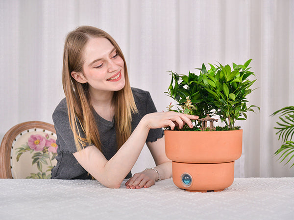 Self-Watering Plant Pot