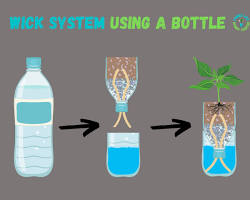 DIY Bottle Trick and Wick System的图片