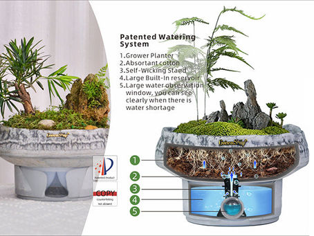 GreenShip Self-Watering Plant Pots, 6 8 12 inches Set of 3 Planter, Modern Decorative Flower Pots for Indoor Plants